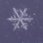 Close up of I took of snowflake stuck to a window